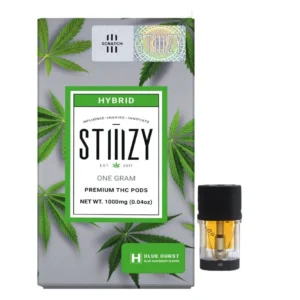 Stiiizy Pods (1g) – Blue Burst