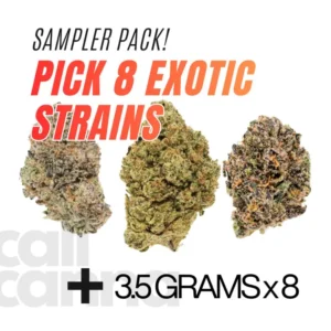 Exotic Sampler Pack (3.5g x 8)