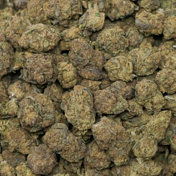 Candy Gelato - Image 3