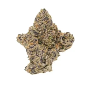 Exotic Gelato 33