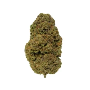 Girl Scout Cookies
