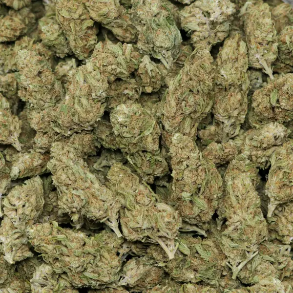 Grape Pie - Image 2