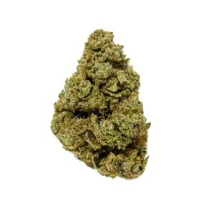 Headband