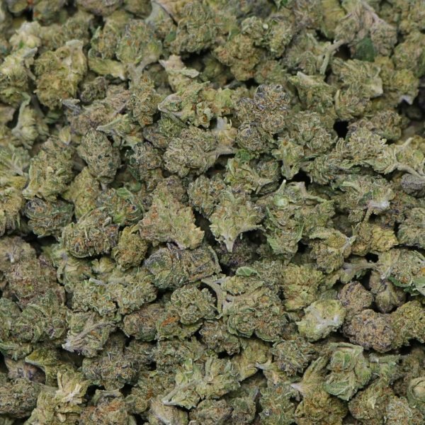 Lemon Cherry Gelato (Smalls) - Image 2