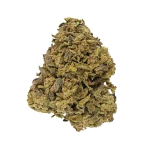 Northern Lights